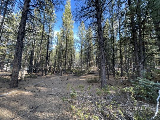 feature listing property photo