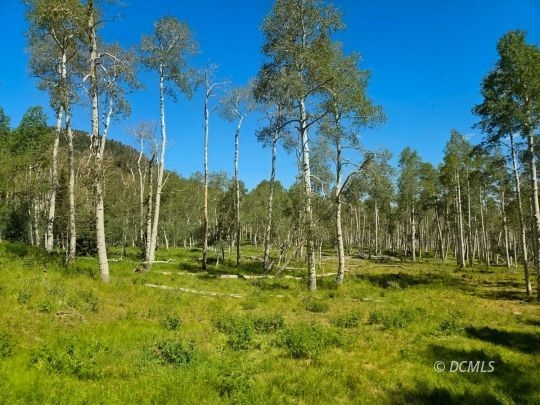 feature listing property photo