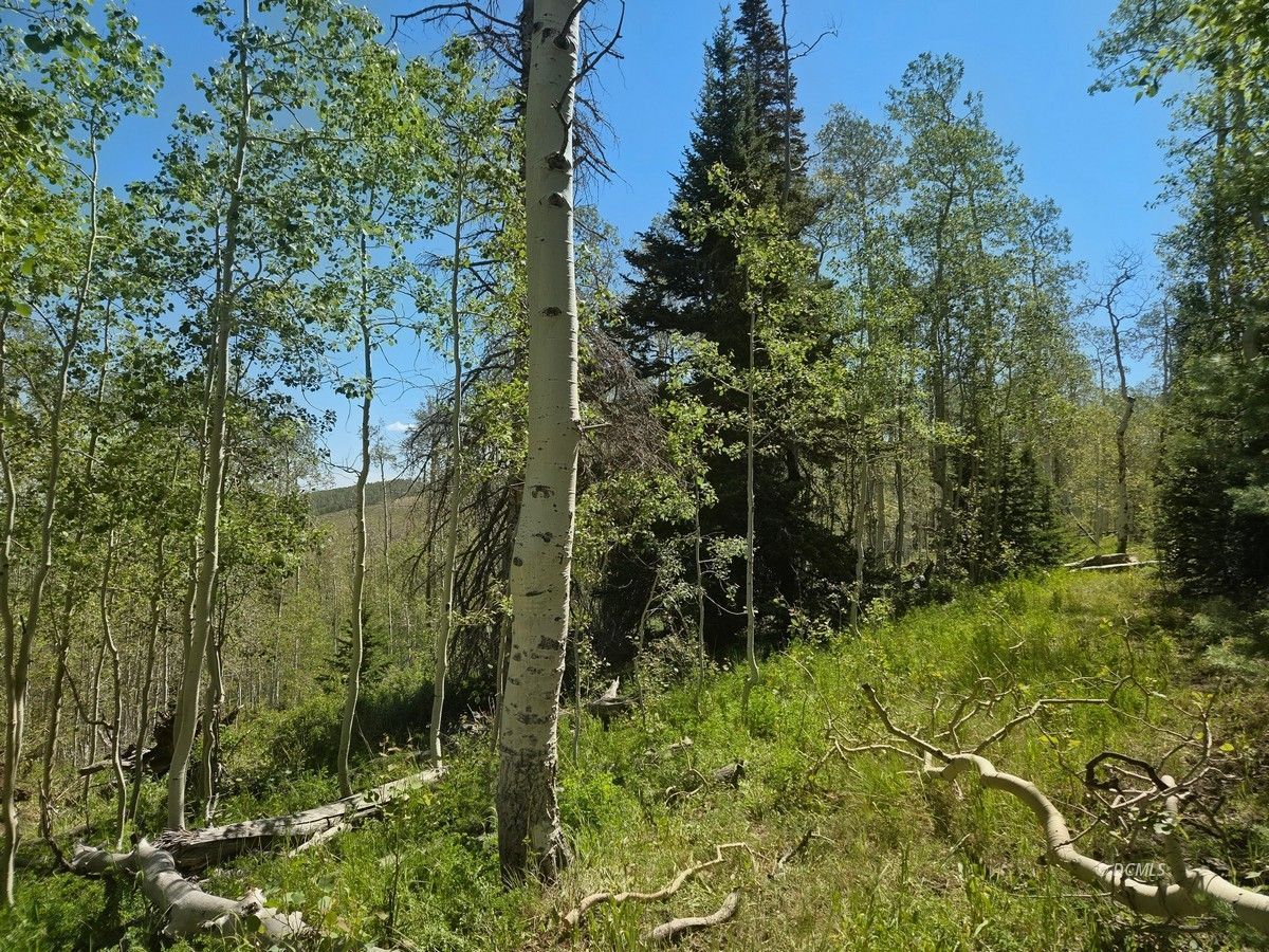 Property Photo 19