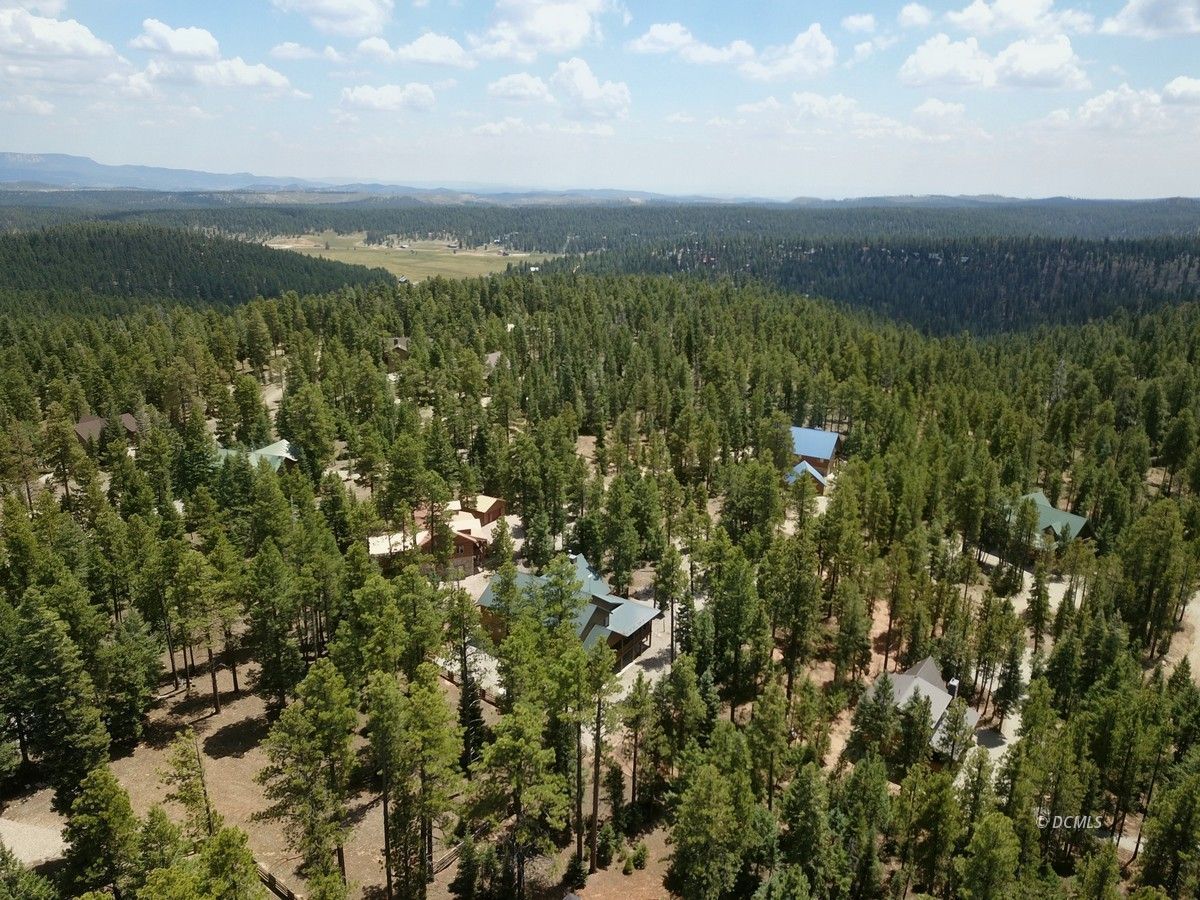 Property Photo 48