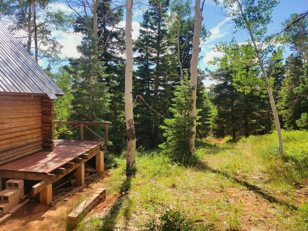Property Photo 25