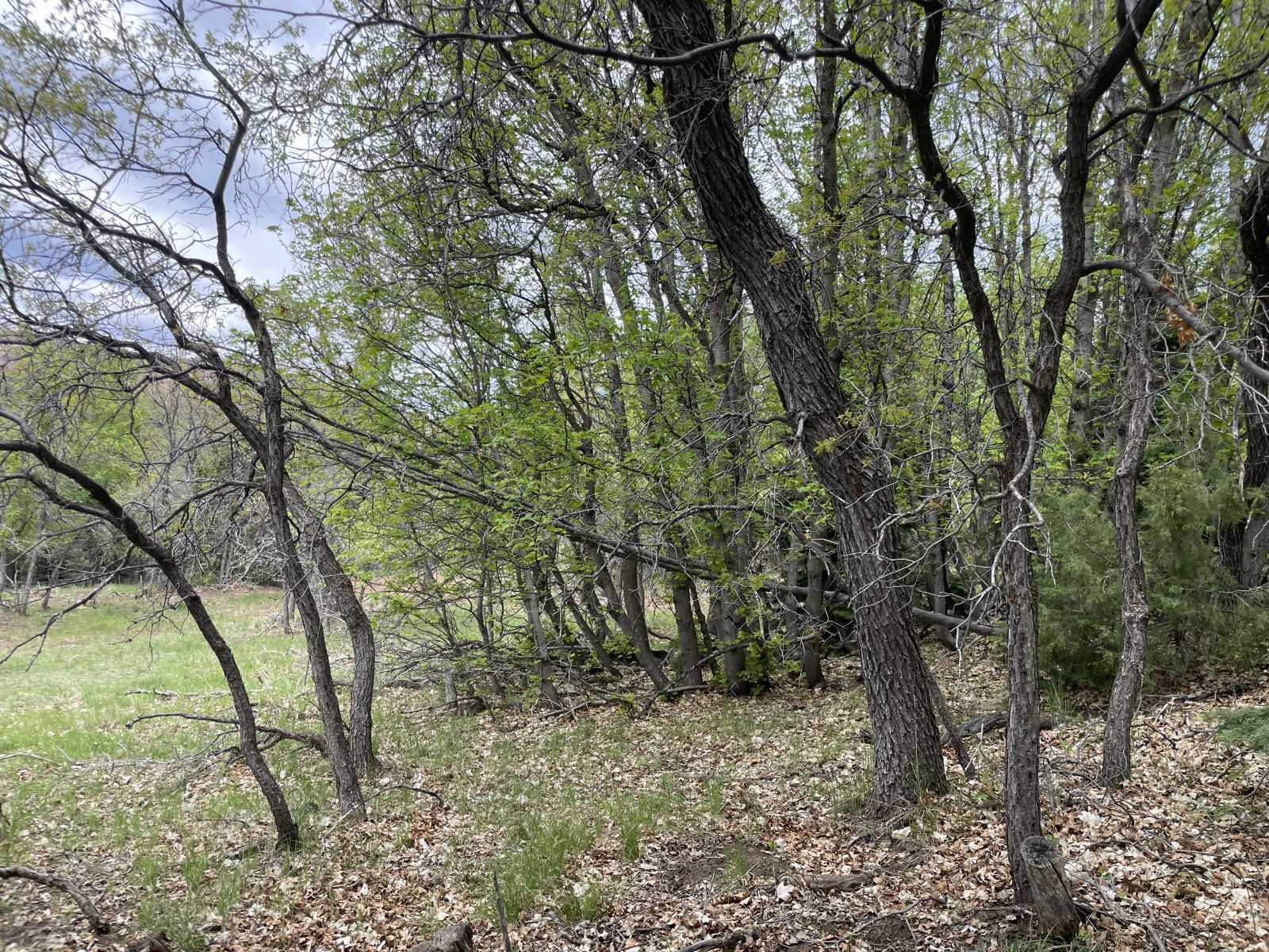 Property Photo 9