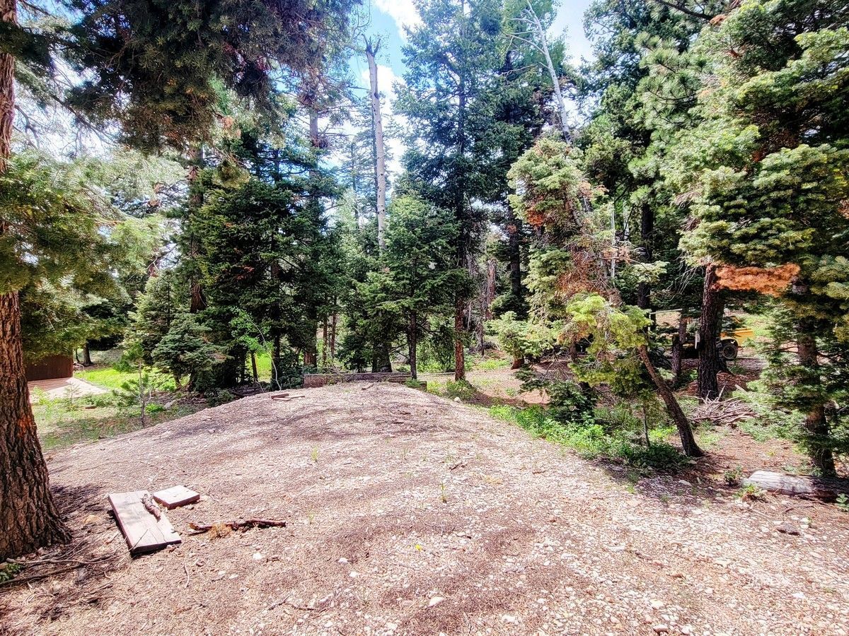Property Photo 19
