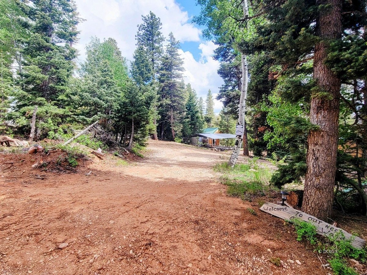 Property Photo 21