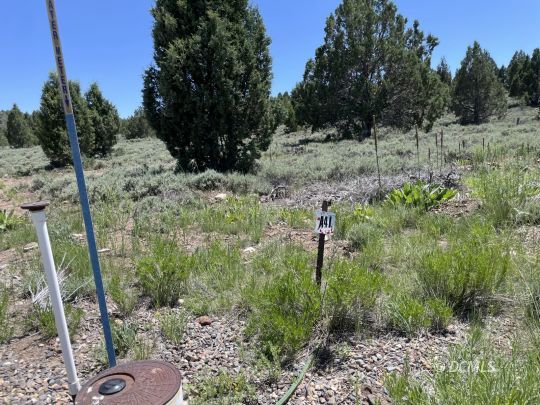 feature listing property photo