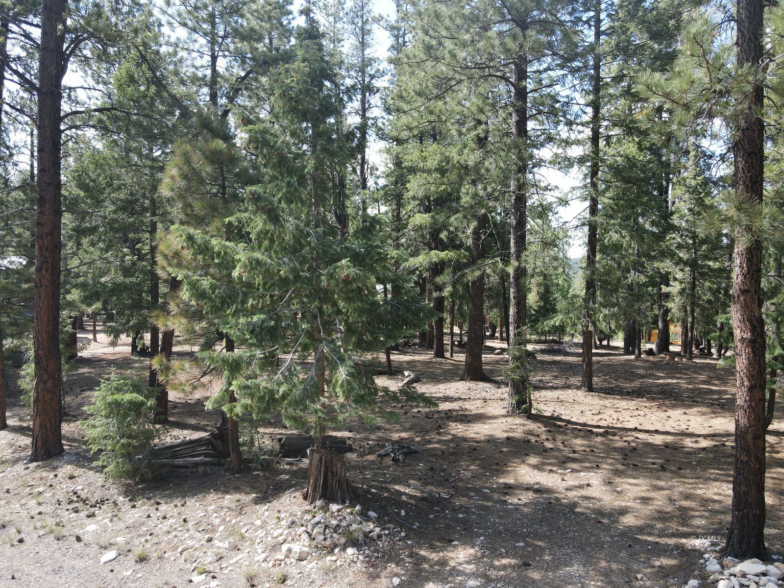 Property Photo 16