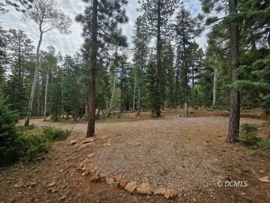 feature listing property photo