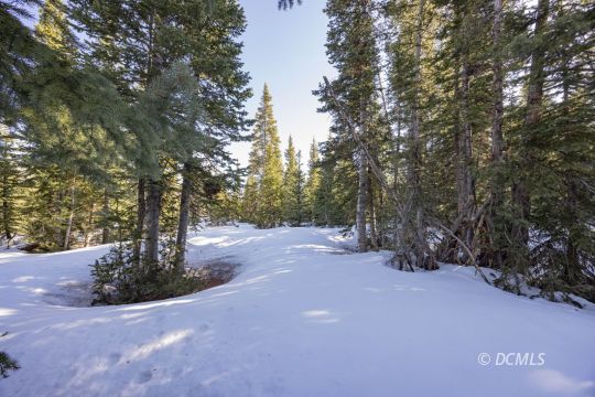 feature listing property photo