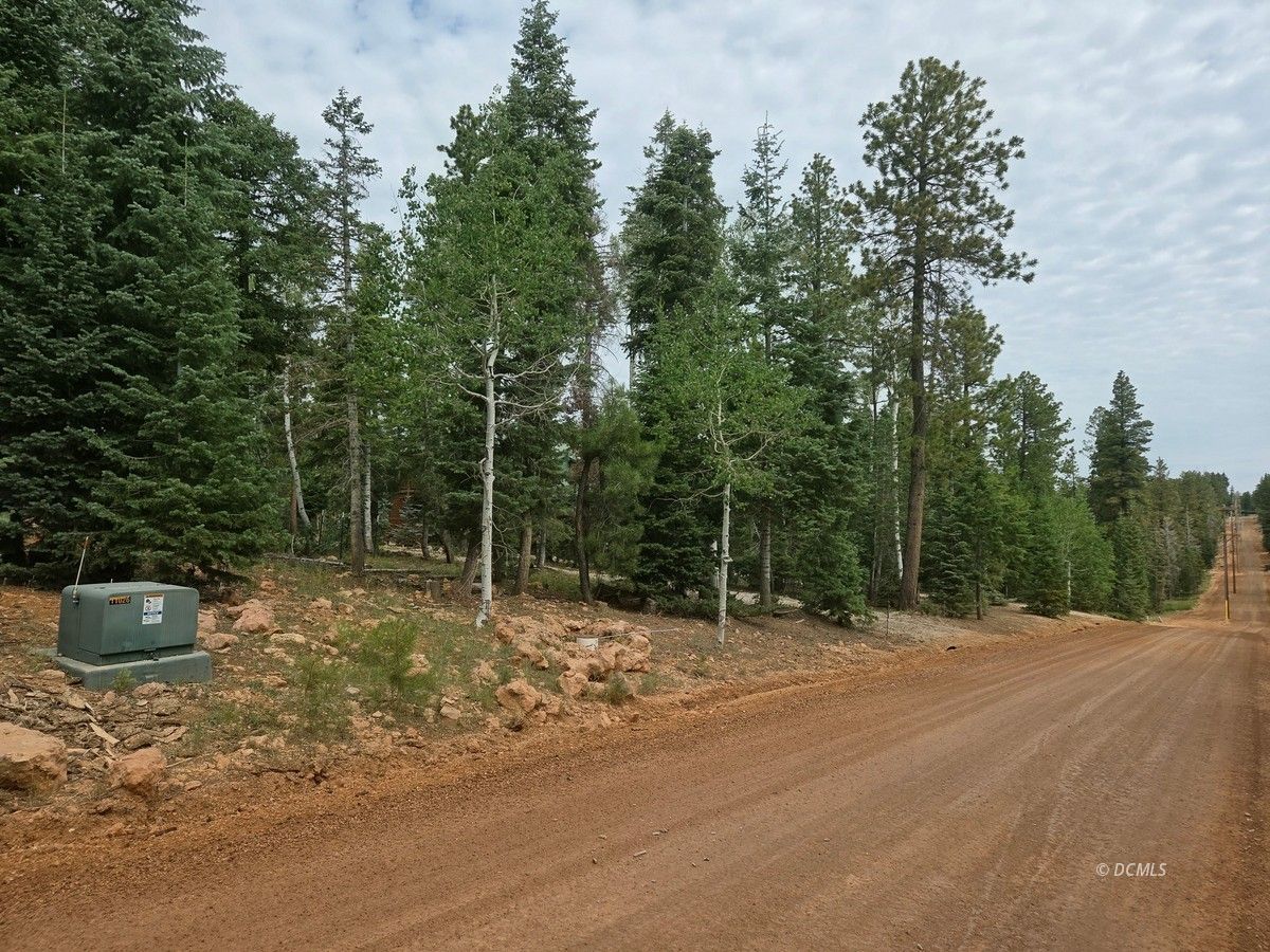 Property Photo 13