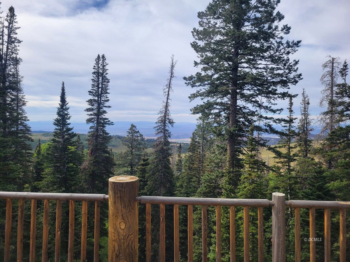 Property Photo 42