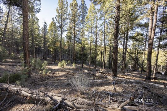 feature listing property photo