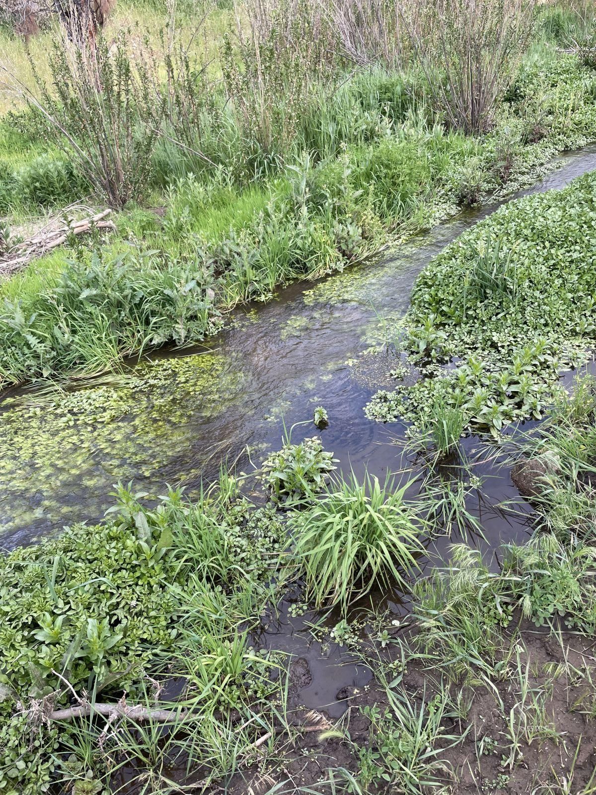 Property Photo 42