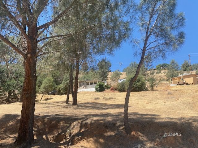 Property Photo 41