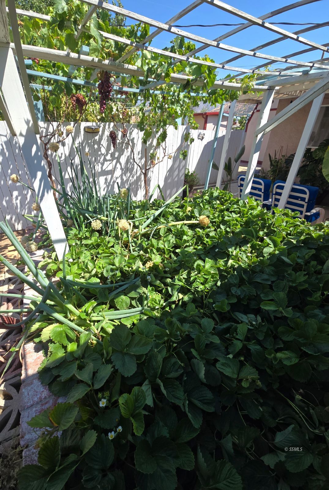 Property Photo 20