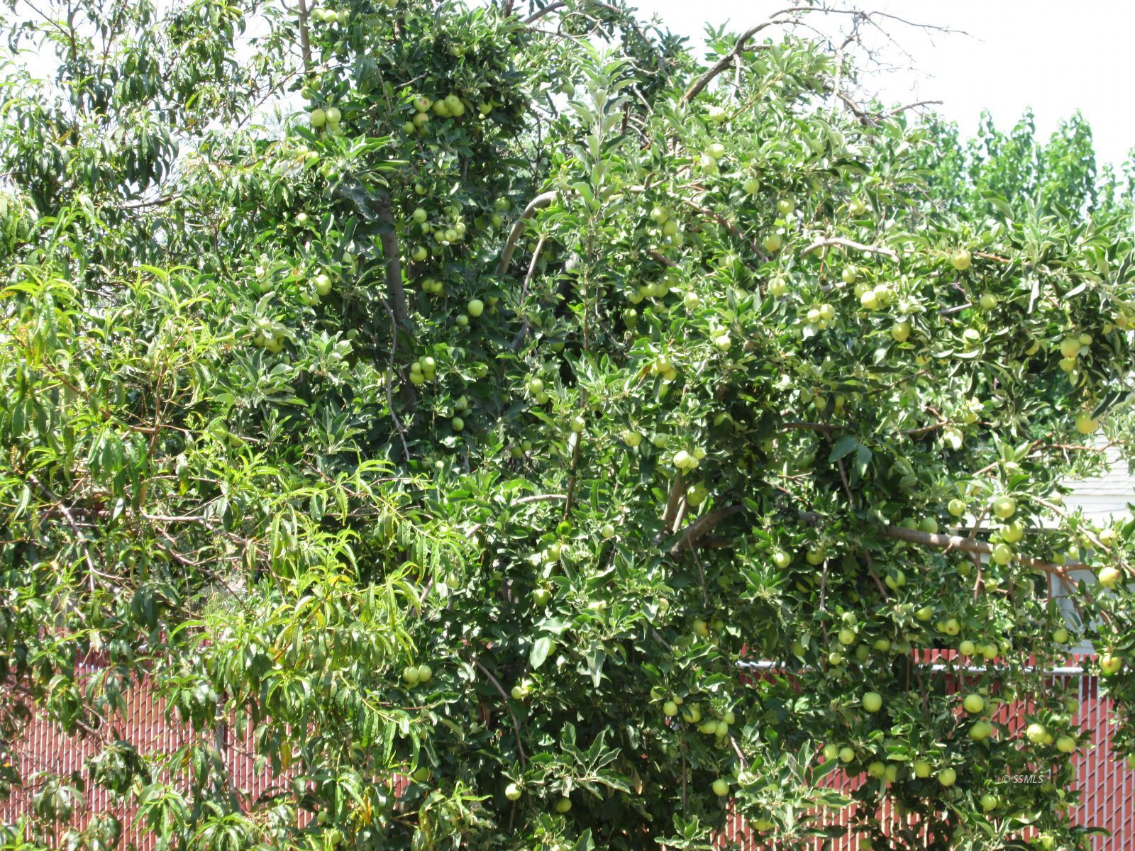 Property Photo 36