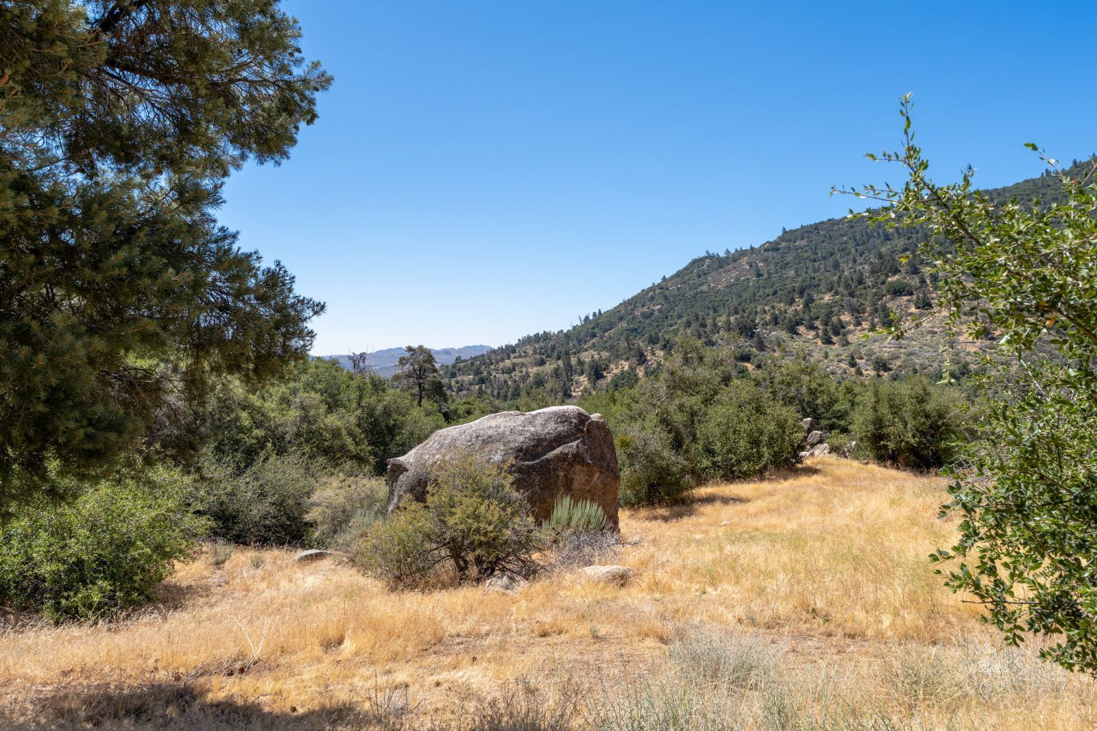 Property Photo 47