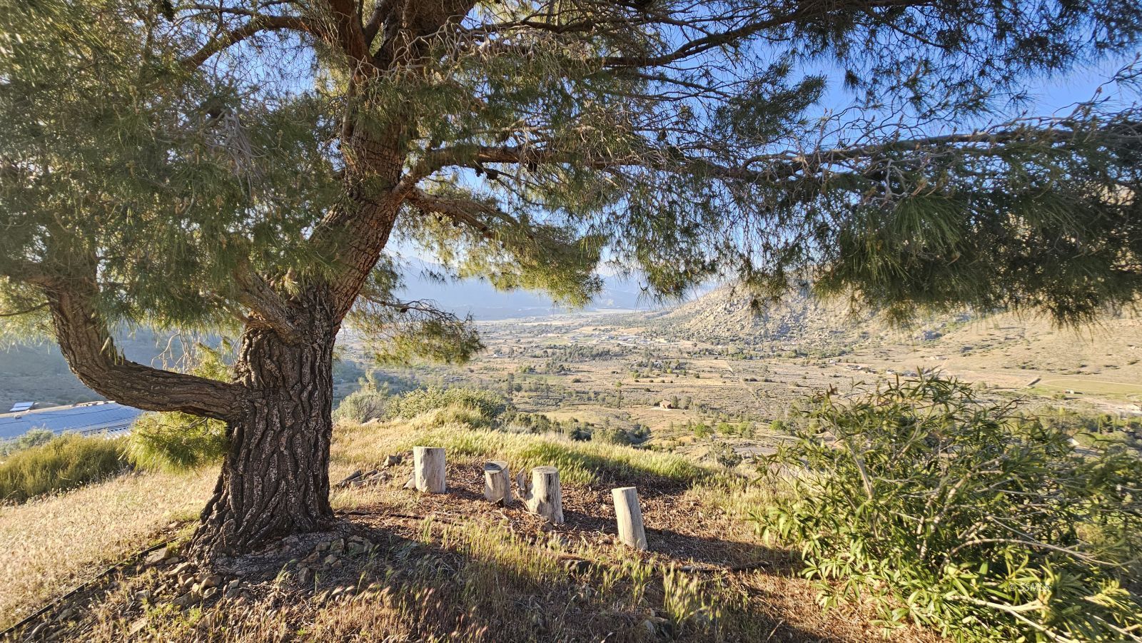 Property Photo 42