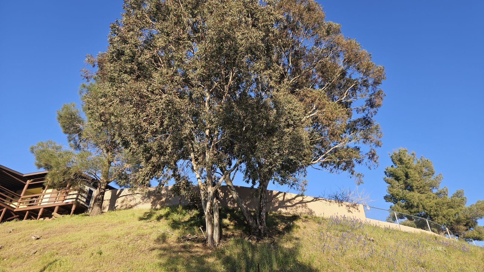 Property Photo 44