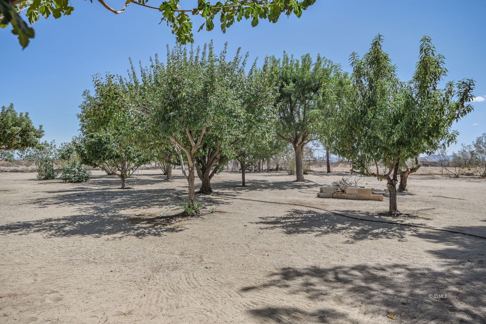 Property Photo 46