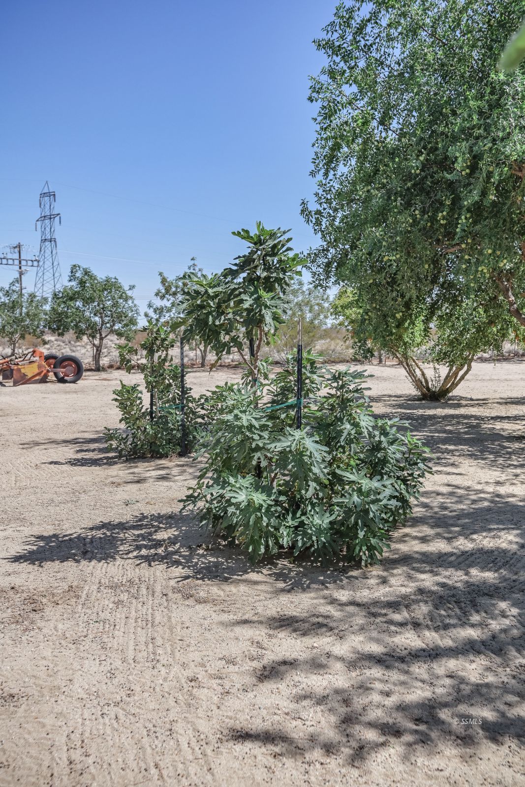 Property Photo 48