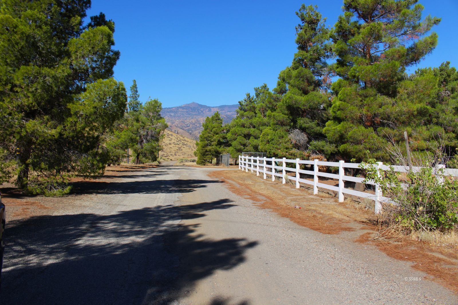 Property Photo 45