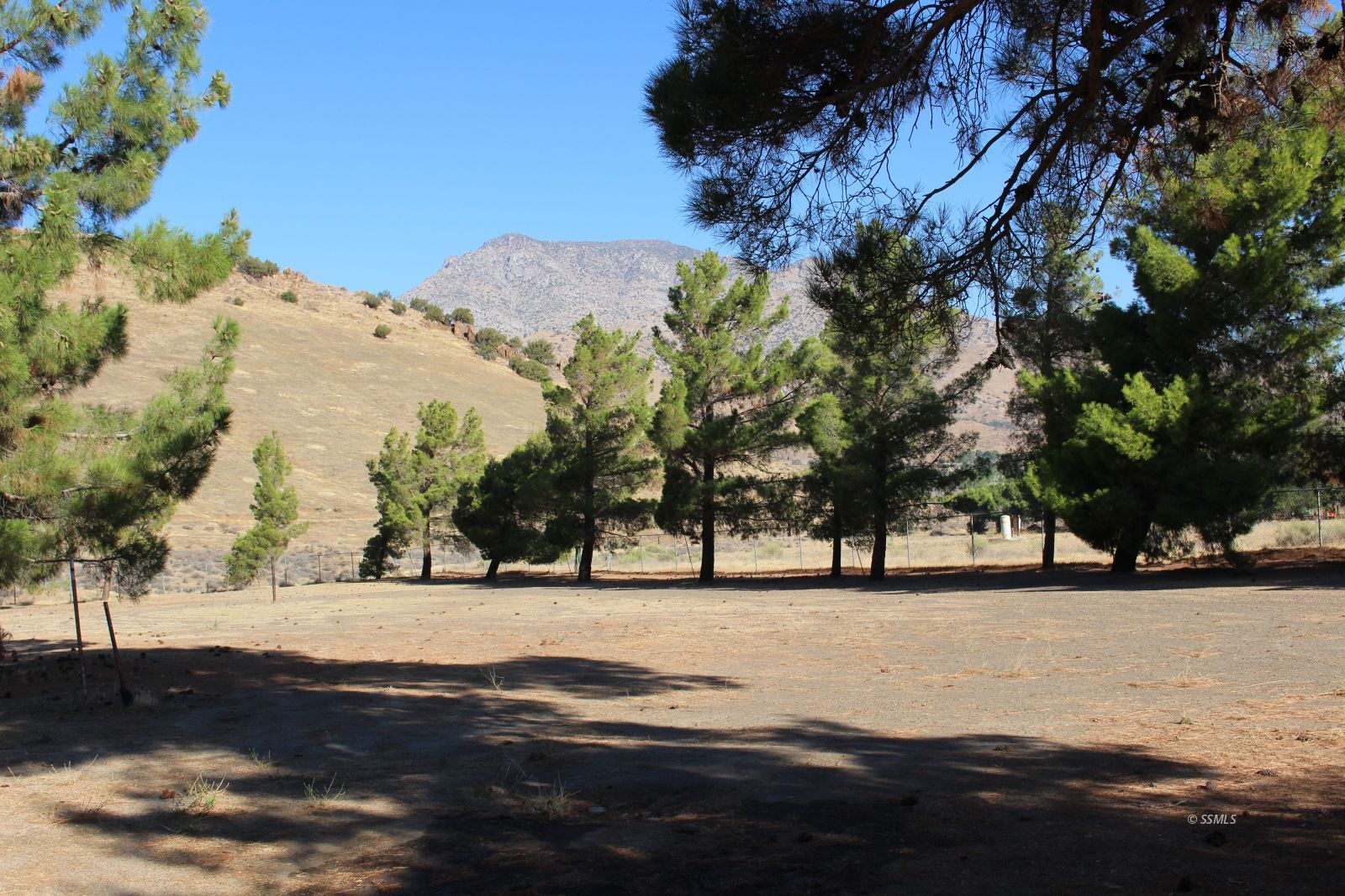 Property Photo 42