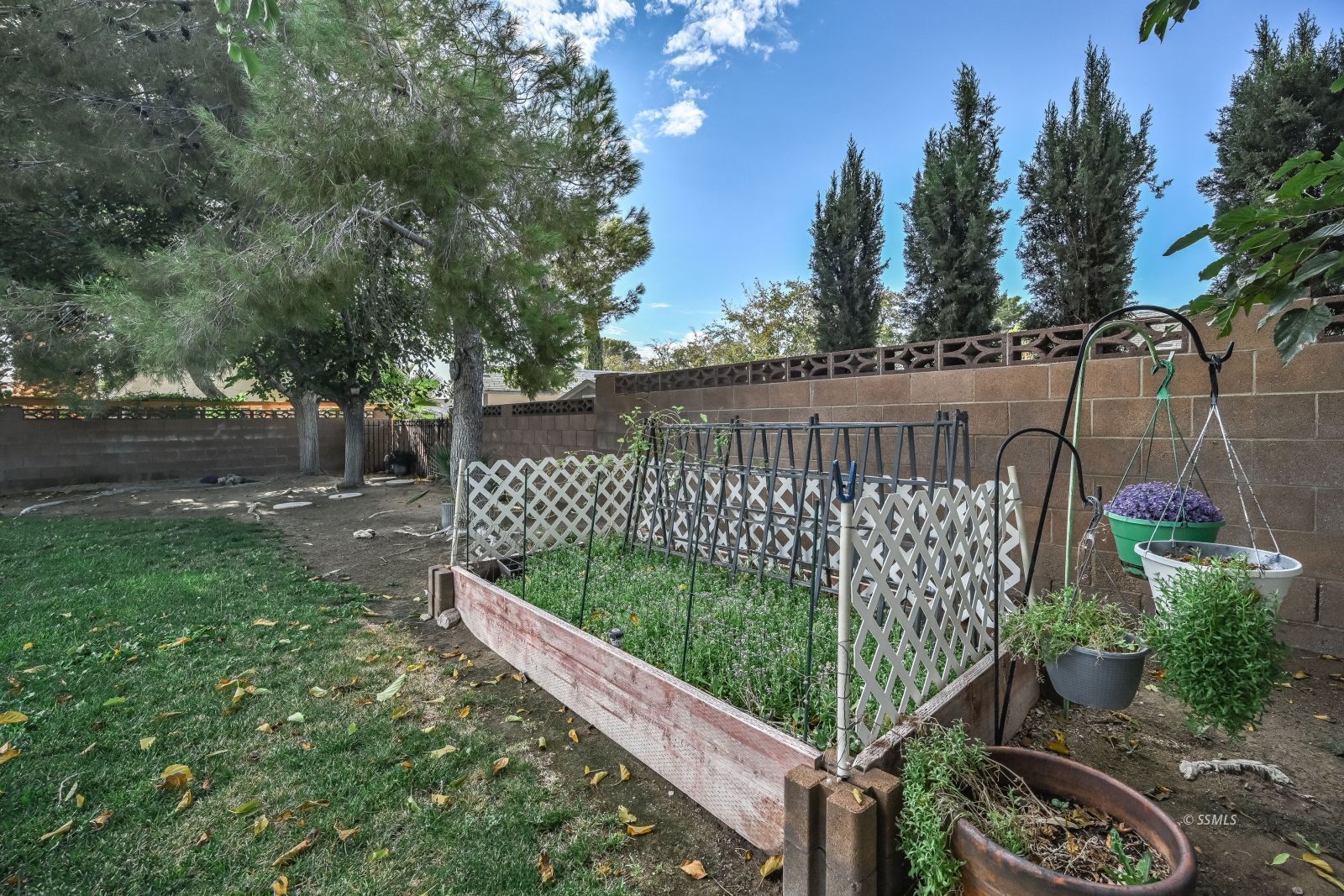 Property Photo 38