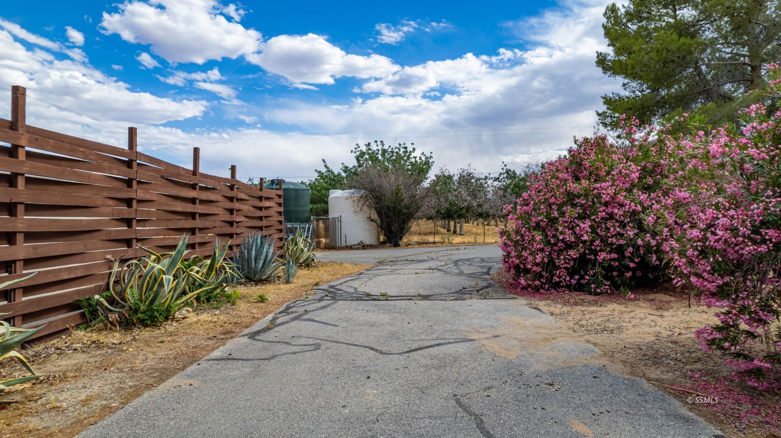 Property Photo 41