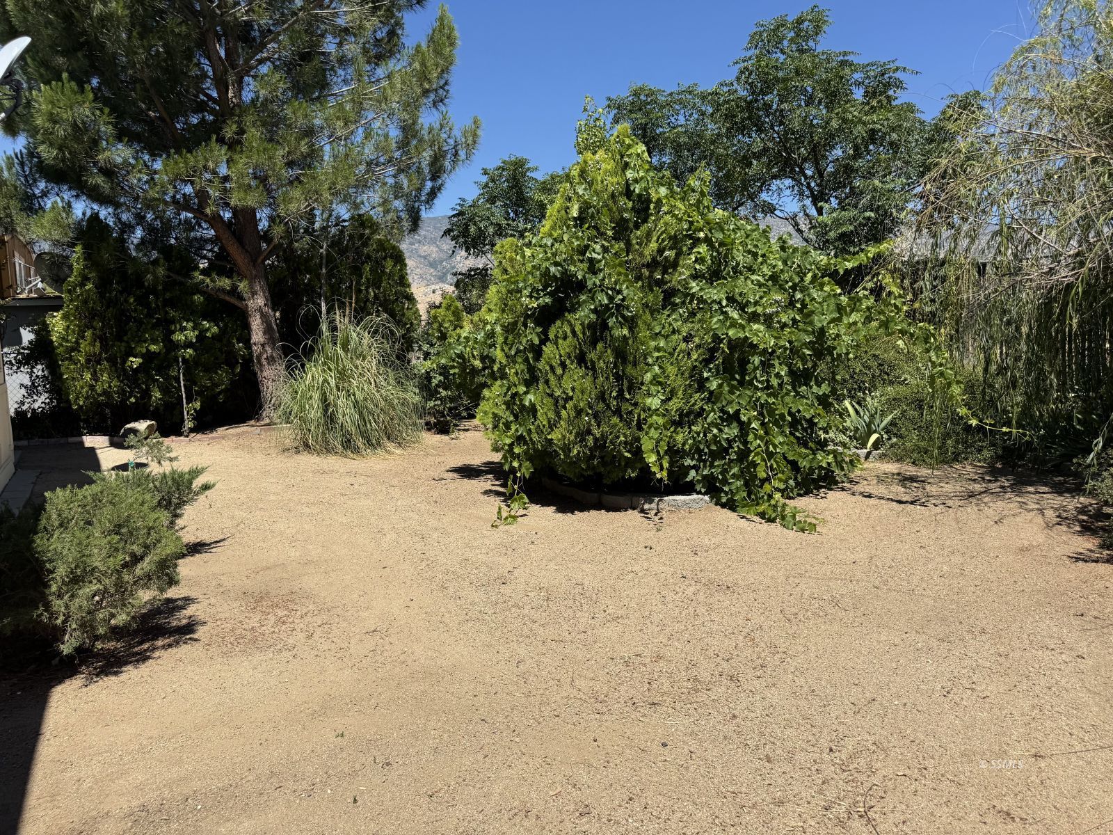 Property Photo 41