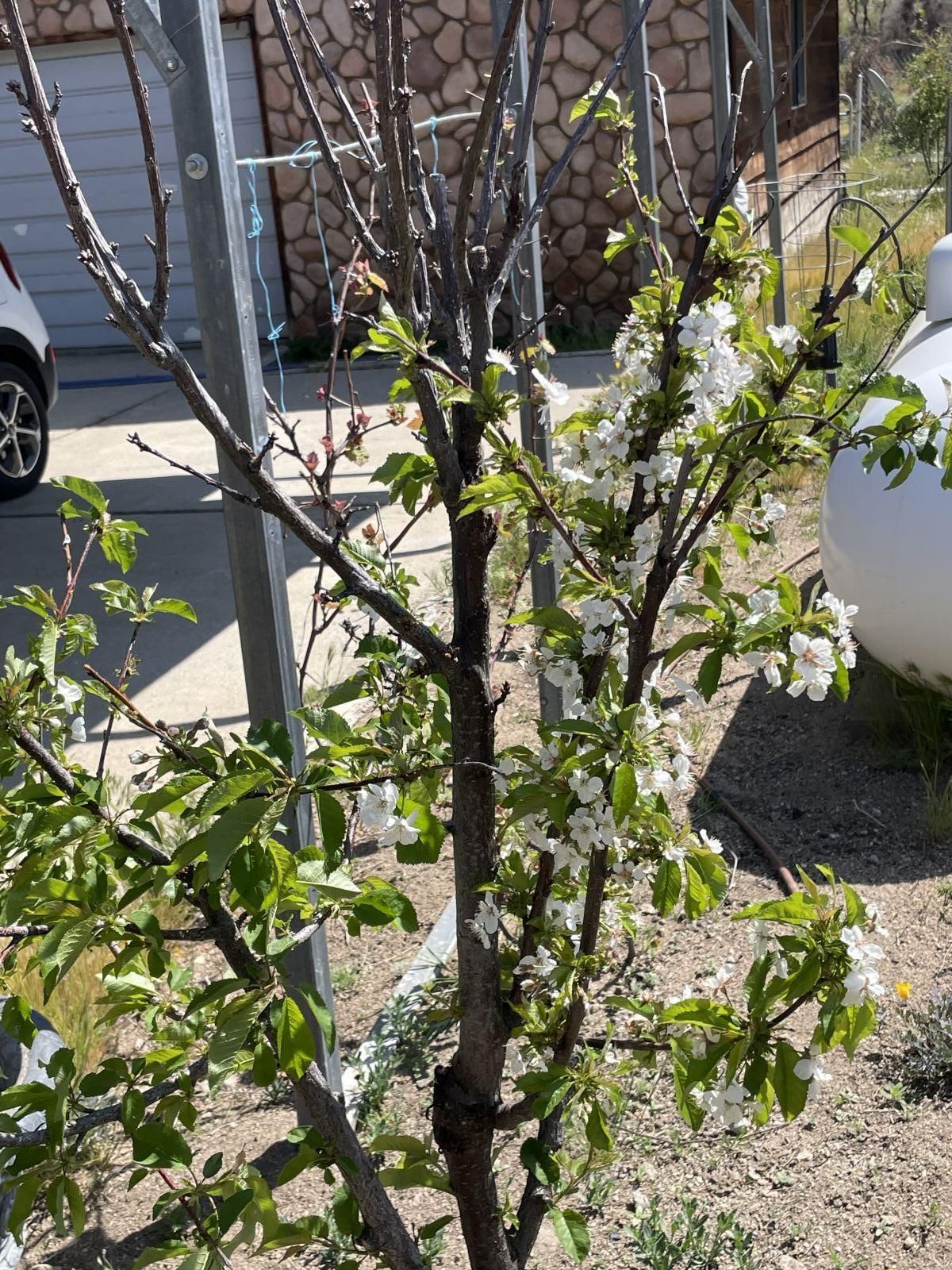 Property Photo 35