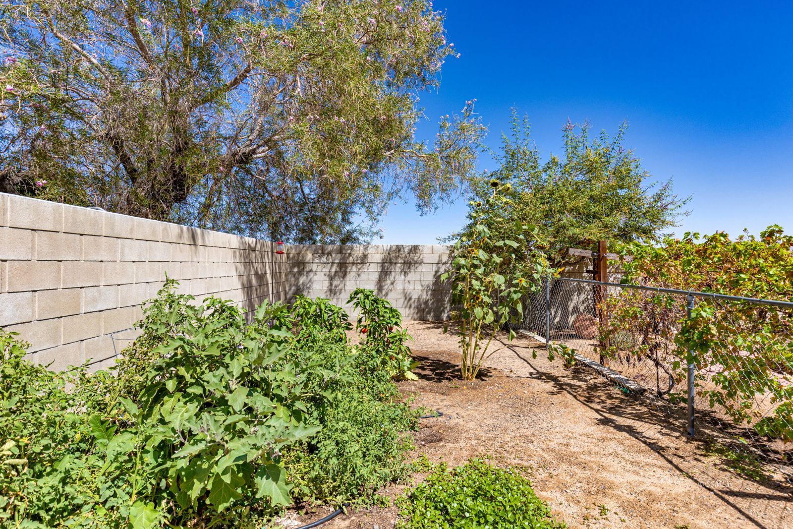 Property Photo 40