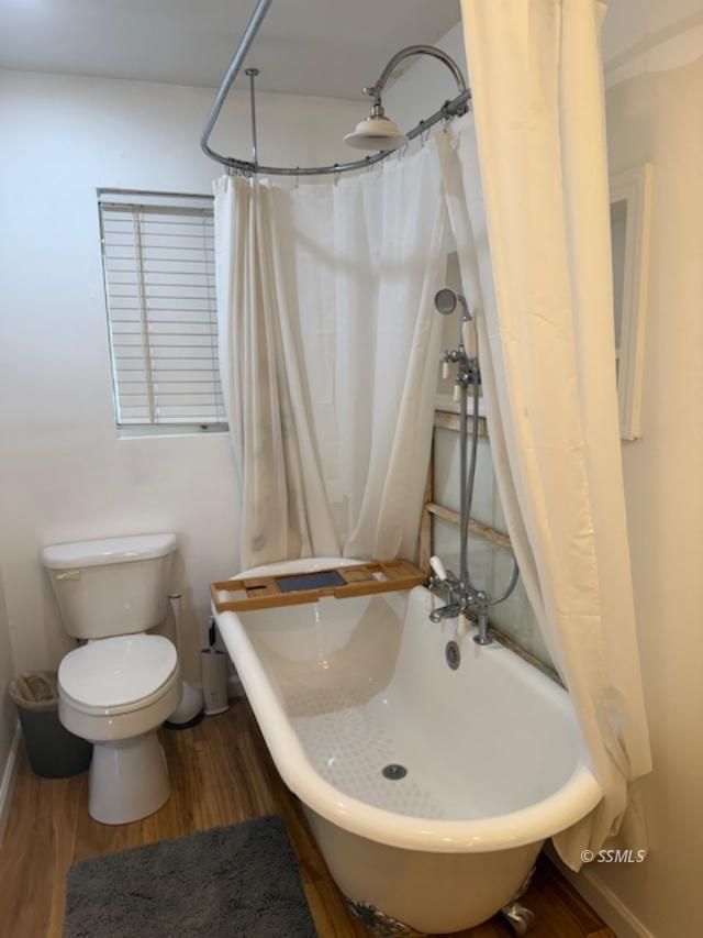 Property Photo 34