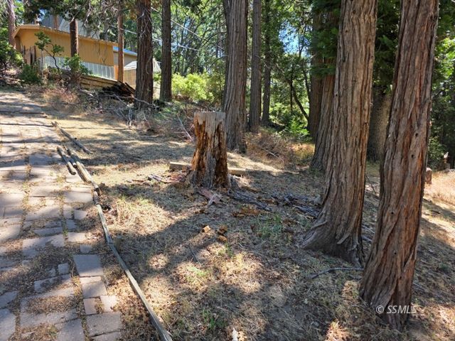 Property Photo 30