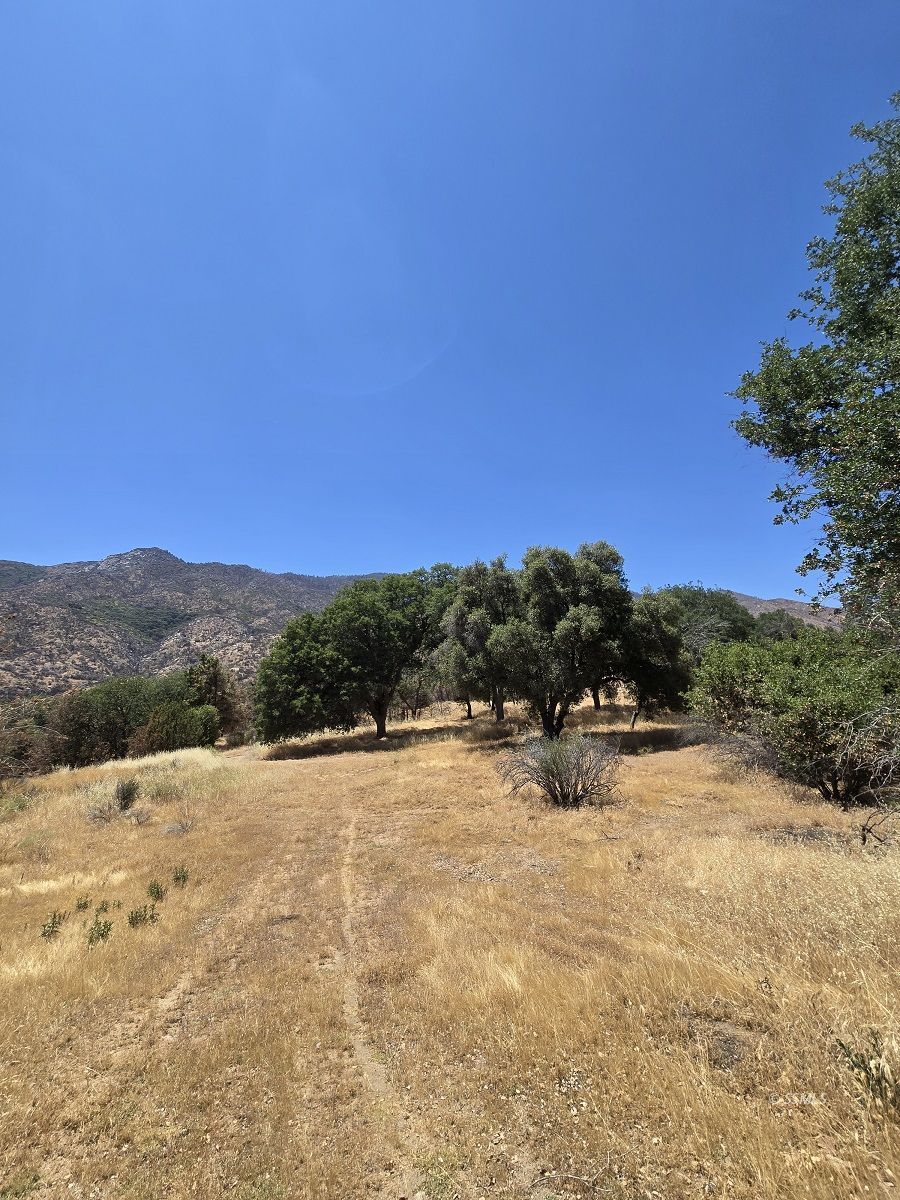 Property Photo 38