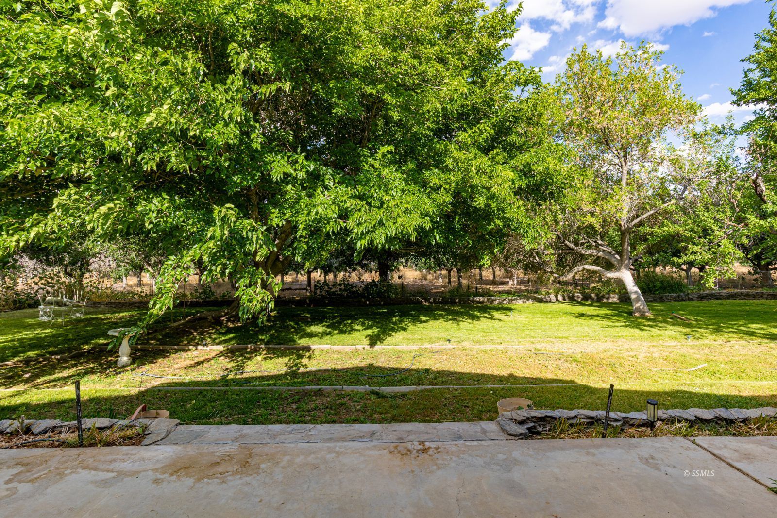 Property Photo 47