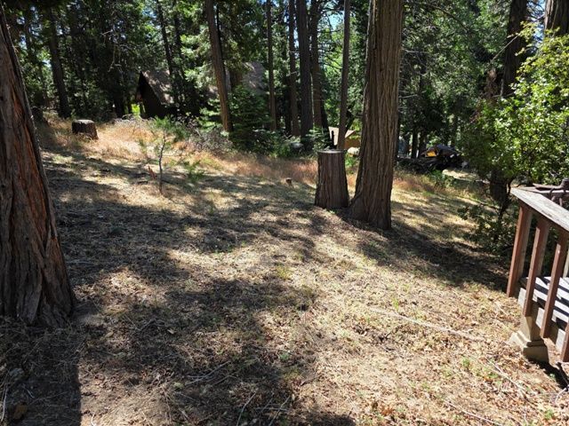 Property Photo 38