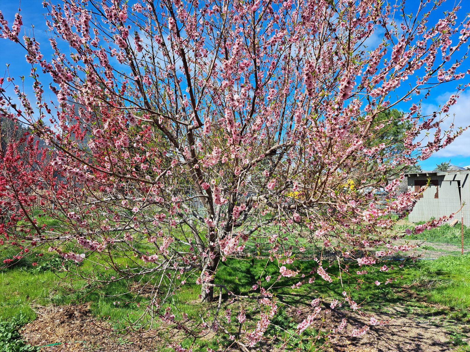 Property Photo 35