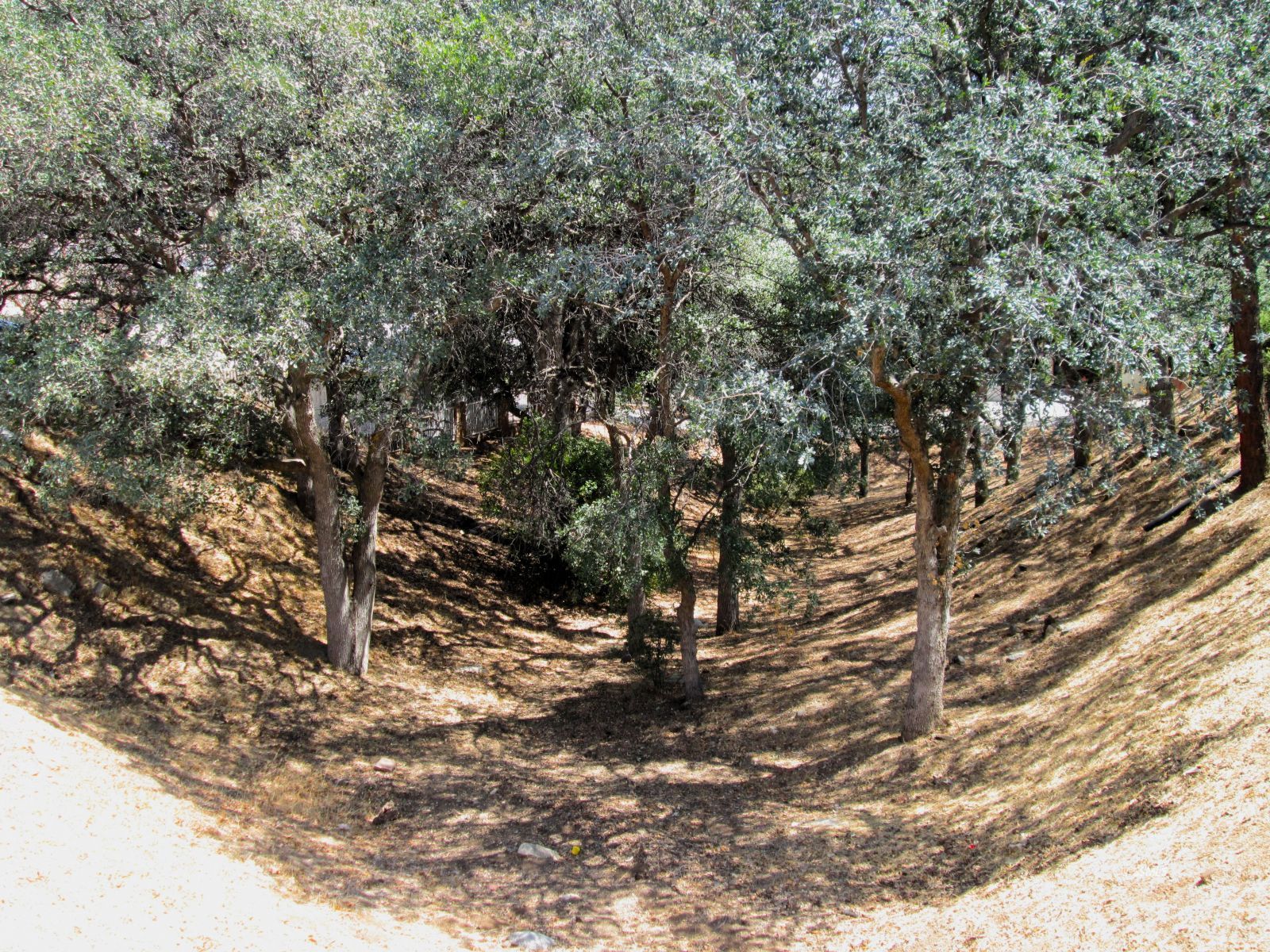 Property Photo 46