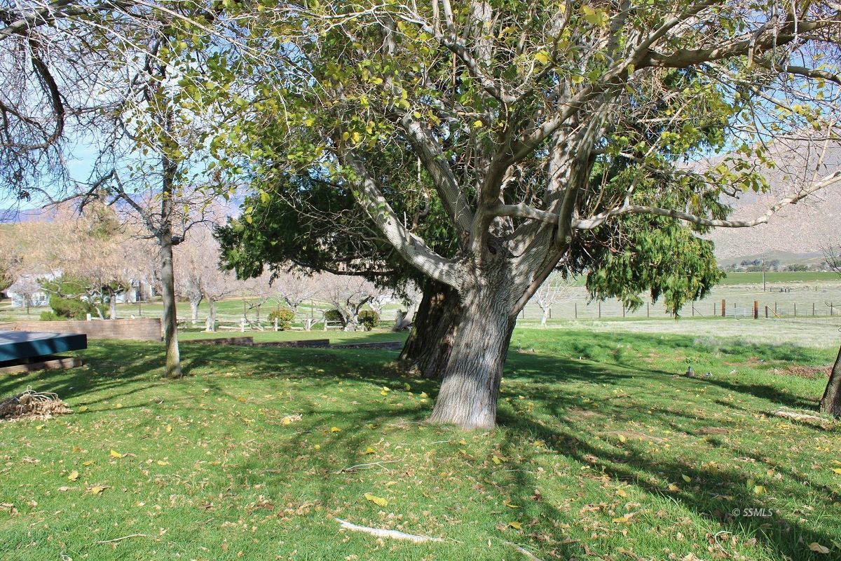 Property Photo 43