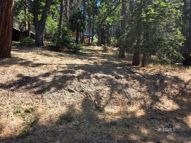 Property Photo 37