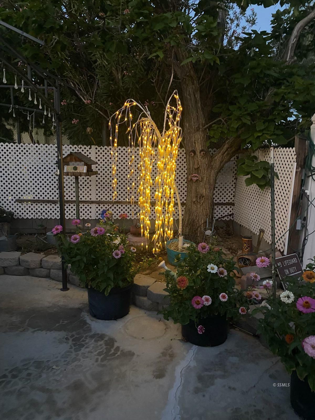 Property Photo 21