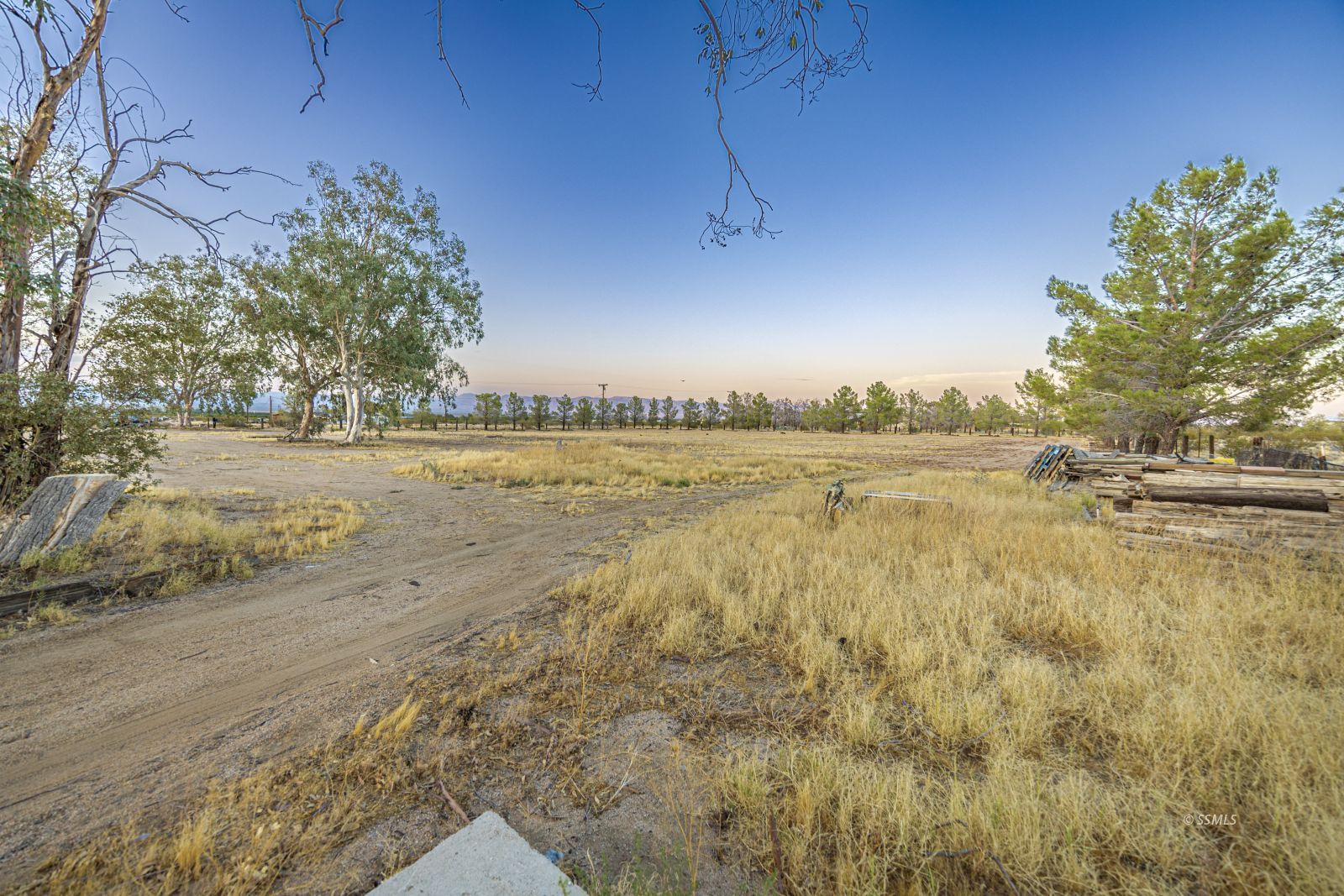 Property Photo 40