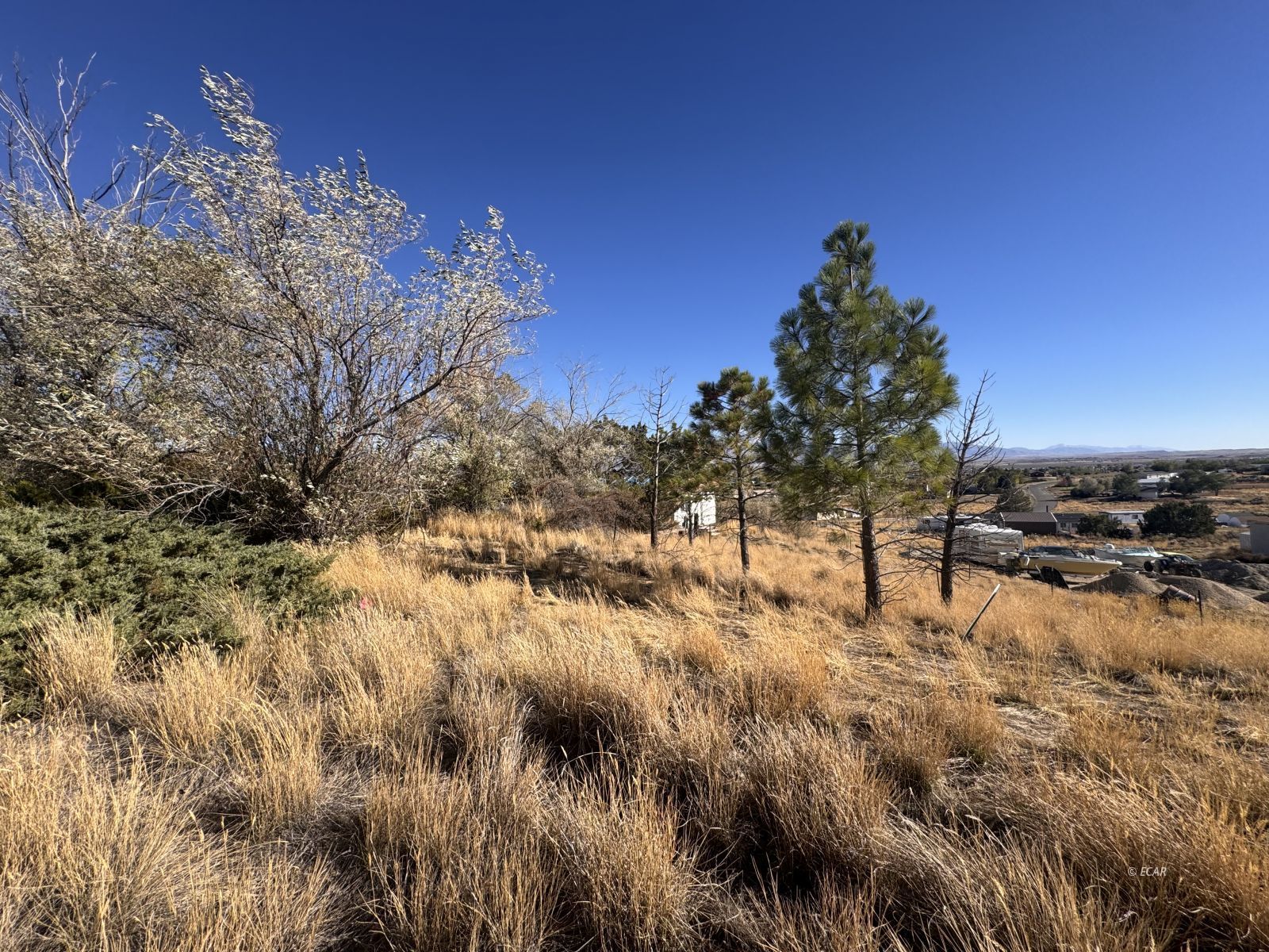 Property Photo 44