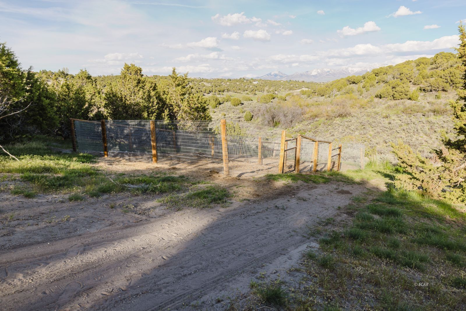 Property Photo 41