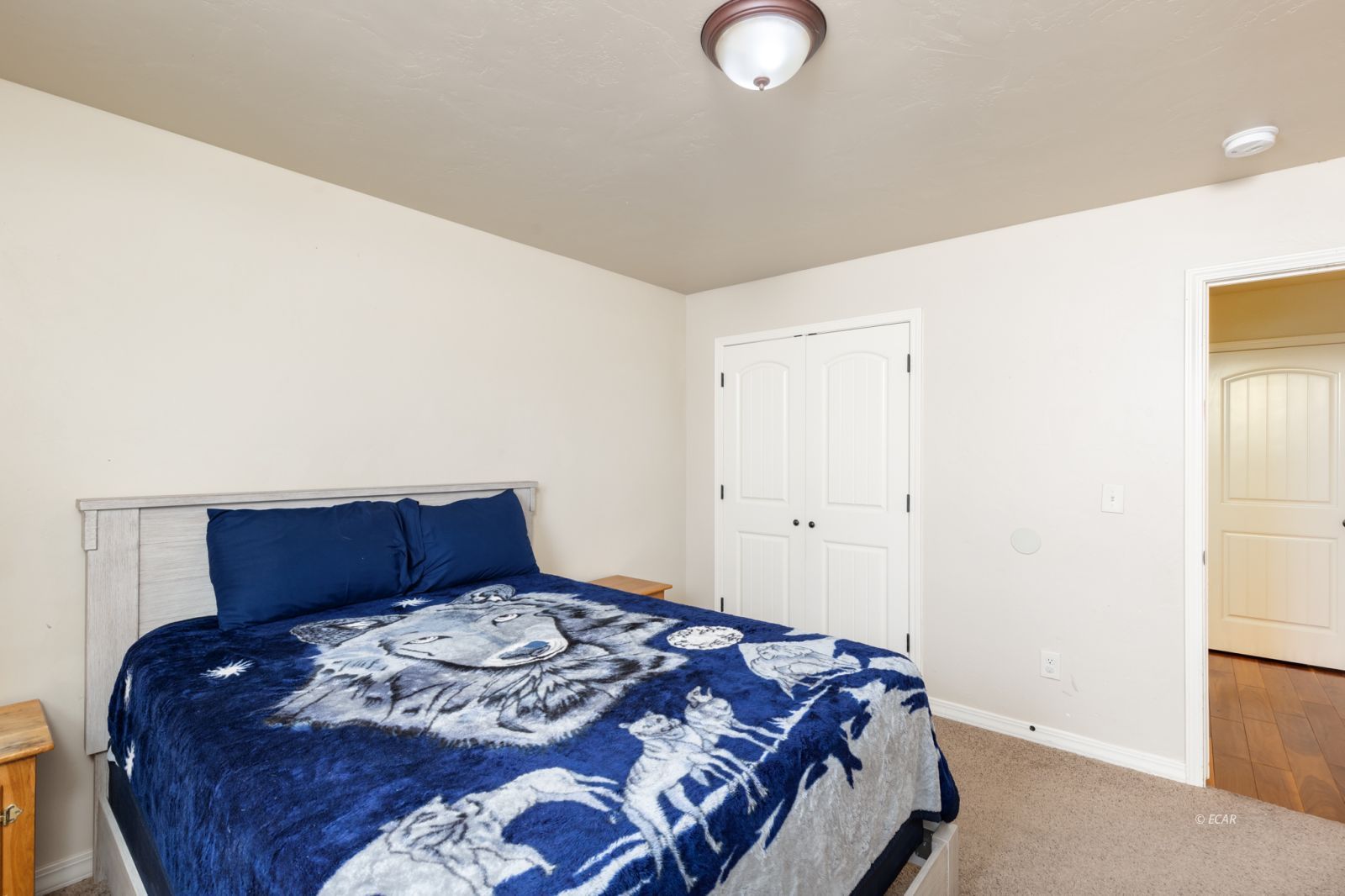 Property Photo 22