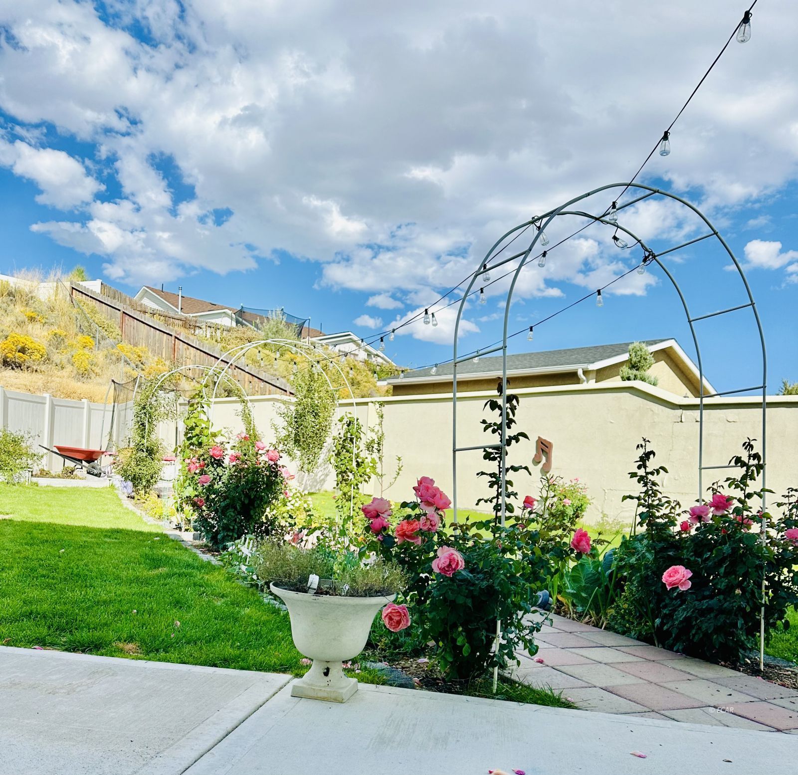 Property Photo 42