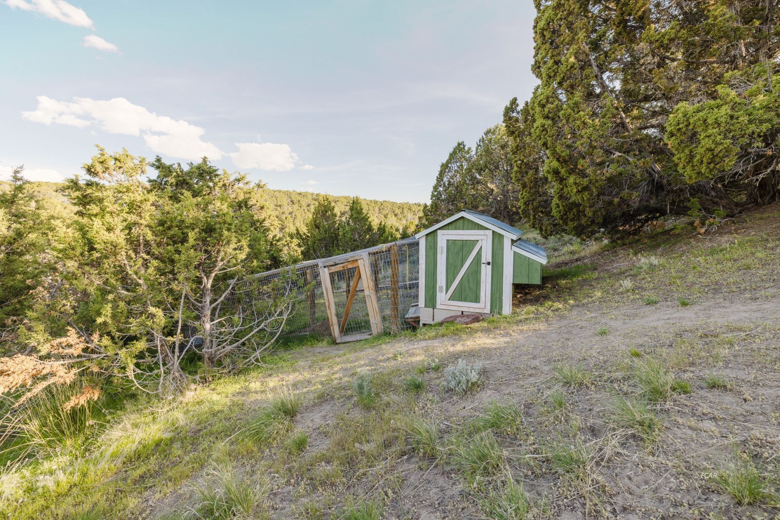 Property Photo 39
