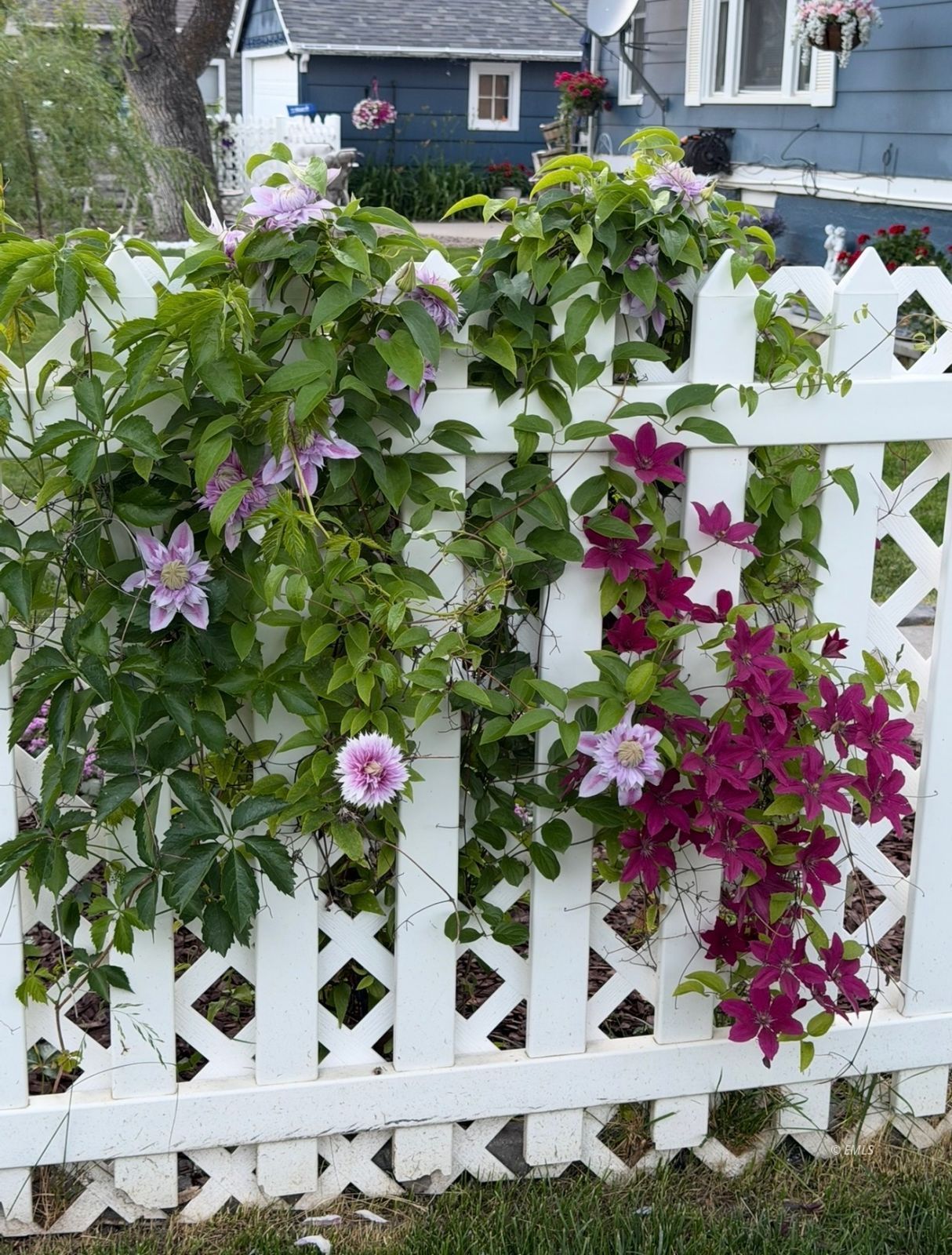 Property Photo 31